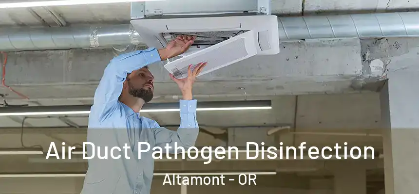  Air Duct Pathogen Disinfection Altamont - OR