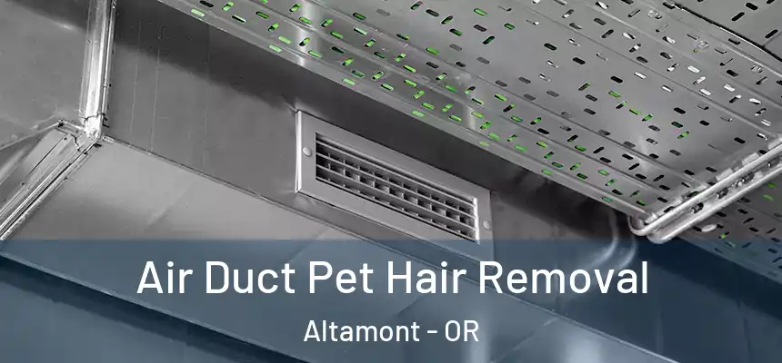  Air Duct Pet Hair Removal Altamont - OR