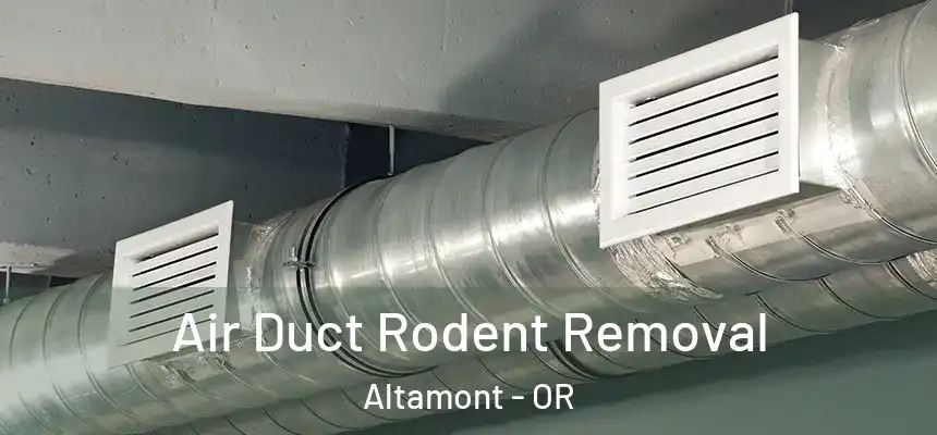  Air Duct Rodent Removal Altamont - OR