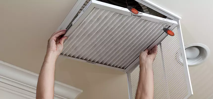 Our Insect Removal from Air Ducts Services in Altamont, OR