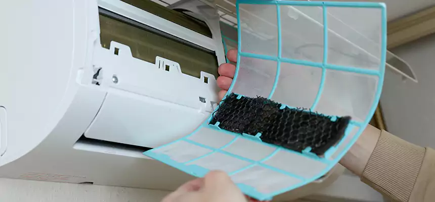 Gentle Ductwork Odor-Control Pet Dander Duct Cleaning in Altamont, OR