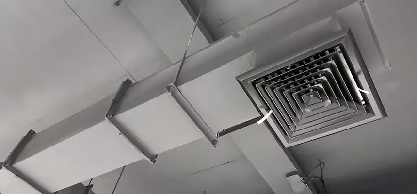 Our Rodent Droppings In Vents Services in Altamont, OR