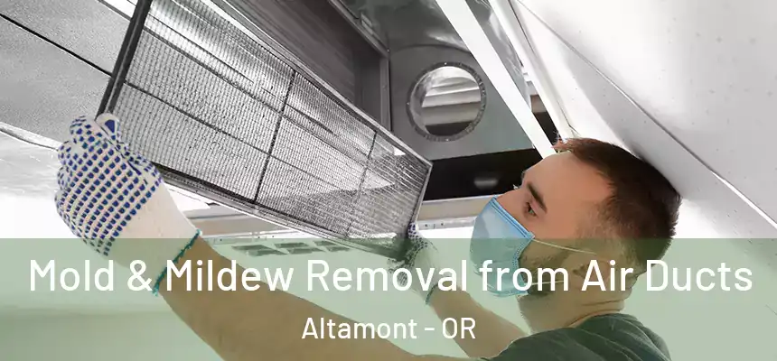  Mold & Mildew Removal from Air Ducts Altamont - OR