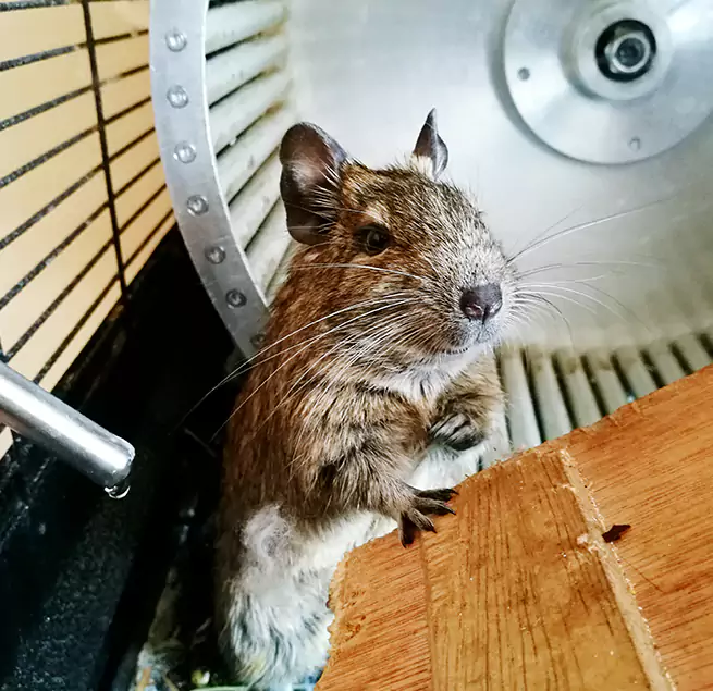 Why Homeowners & Businesses Trust Us Altamont, OR